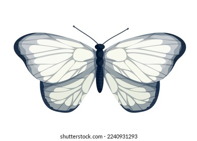 Colorful butterfly, winged insect.Vector graphics.