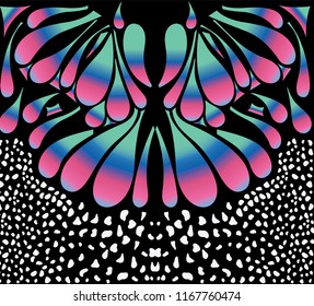 Colorful Butterfly Wings