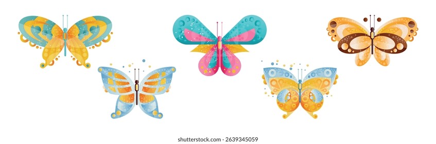 Colorful Butterfly with Wings and Antenna Vector Set