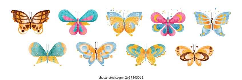 Colorful Butterfly with Wings and Antenna Vector Set