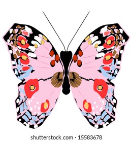 colorful butterfly,vector illustration