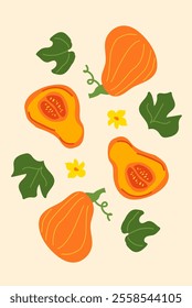 Colorful butternut squash illustration with leaves and flowers on beige background.