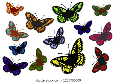 Colorful Buttfly Vectors