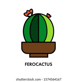 Colorful cactus in beautiful style.  
