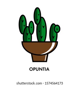 Colorful cactus in beautiful style.  