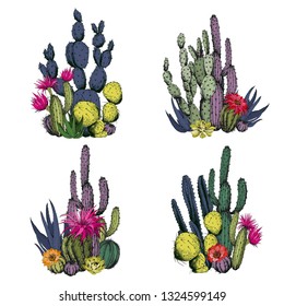 Colorful cactus compositions with flowers. Hand drawn vector illustration.