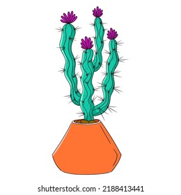 Colorful cactus doodle illustration. Isolated on white background.