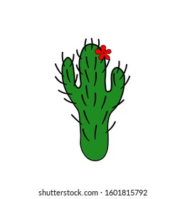 Colorful cactus plants. Decorative isolated icons. Cartoon style doodles. Floral vector illustration for fabric, textile, wallpaper, posters, paper, fabric, textile. Hand drow design.
