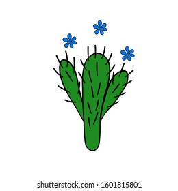 Colorful cactus plants. Decorative isolated icons. Cartoon style doodles. Floral vector illustration for fabric, textile, wallpaper, posters, paper, fabric, textile. Hand drow design.