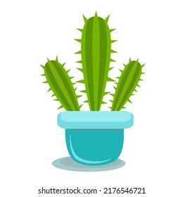 colorful cactus in the pot with a flat vector design