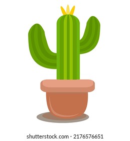 colorful cactus in the pot with a flat vector design