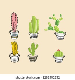 Colorful cactus in pots