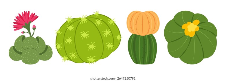 Colorful cactus and succulent plant illustrations on white background. Flat set