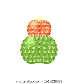 Colorful cactus and succulent plant vector illustration. Decorative isolated icon. Cartoon style doodle.