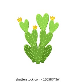 Colorful cactus and succulent plant vector illustration. Decorative isolated icon. Cartoon style doodle.