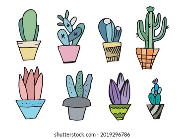 Colorful Cactus and succulents vector set. Hand drawn cacti illustration.