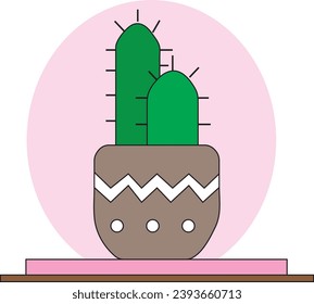 Colorful Cactus and vas