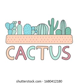 Colorful cactuses on the white background. Vector illustration.