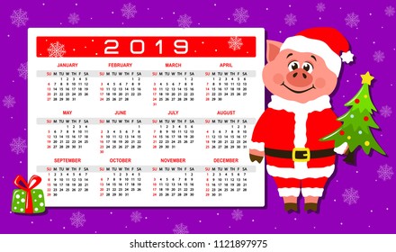 Colorful calendar 2019 with a pig in Santa Claus costume. Cartoon character, christmas tree and gift box on a violet background. Week starts on Sunday. Basic grid. Flat style. Vector illustration. 
