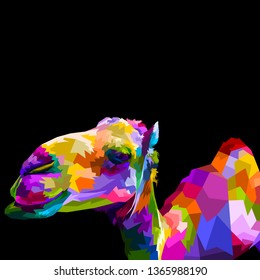colorful camel isolated on black background