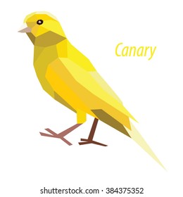 colorful Canary bird low poly design isolated on white background