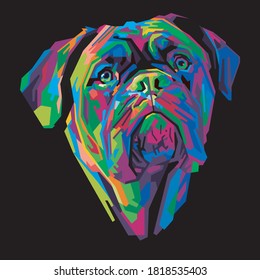 colorful Cane Corso dog head with cool isolated pop art style backround. WPAP style