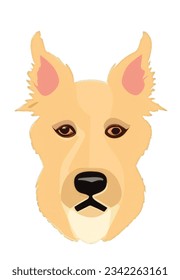 Colorful Canine Portraits: Minimalistic Flat Vector Illustrations with a Touch of Personal Iconography