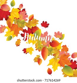 Colorful Card or Banner with Autumn Leaves in Vector with place for Text