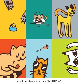 Colorful cards with cute cats