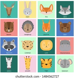 Colorful cards with vector wild animals. Cute forest and jungle animals: raccoon, deer, squirrel, hedgehog, hare, bear, fox, beaver, wolf, lion, cheetah, tiger, zebra, elephant, hippopotamus, giraffe.