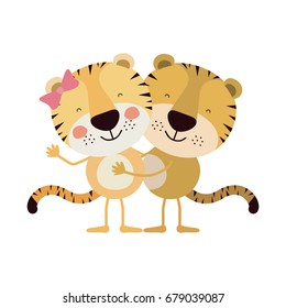 colorful caricature with couple of tigers embraced vector illustration