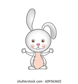 colorful caricature cute rabbit animal vector illustration