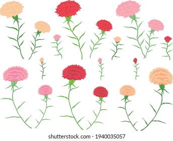 Colorful carnation flowers and buds icon set