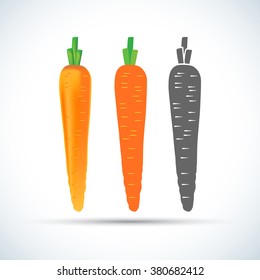 Colorful Carrot vector icon and carrot flat style icons. Isolated vector illustrations.