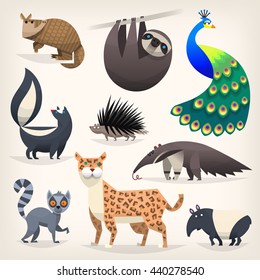 Colorful cartoon animals from different regions and places