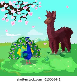 Colorful cartoon asian animals background with lama and peacock standing on grass under branch of sakura vector illustration