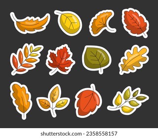 Colorful cartoon autumn leaves. Sticker Bookmark. Hand drawn style. Botanical. Vector drawing. Collection of design elements.