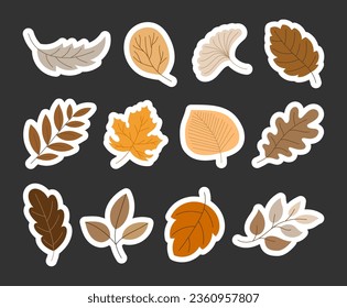 Colorful cartoon autumn leaves. Sticker Bookmark. Hand drawn style. Botanical. Vector drawing. Collection of design elements.
