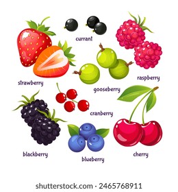 Colorful cartoon berries different types with their names isolated on white background.