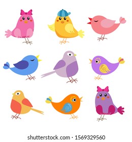 colorful cartoon birds on a white background