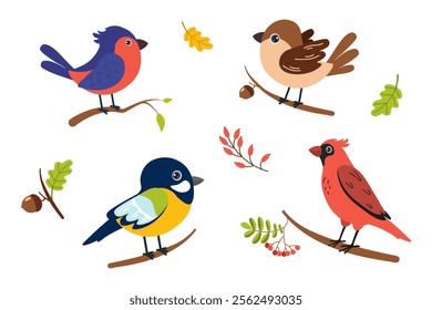 Colorful cartoon birds perched on branches in a playful illustration