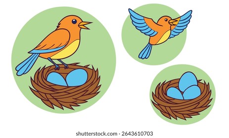 Colorful cartoon birds representing life cycle stages with nest eggs and flight within green circles