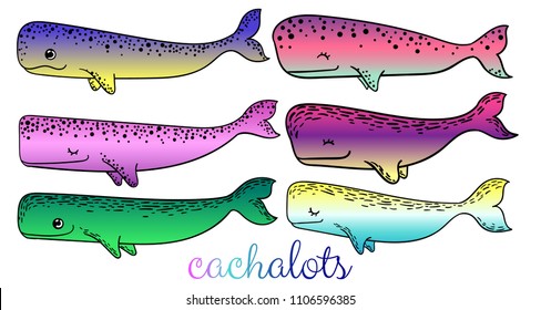 Colorful cartoon cachalots on a white background. Collection, sketches.