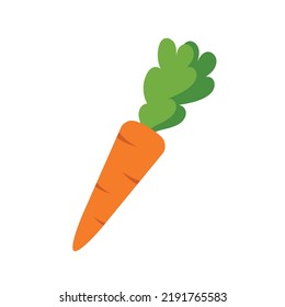 Colorful cartoon carrot icon. Harvesting. Horticulture. Autumn harvest of vegetables
