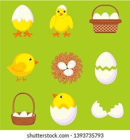 Colorful cartoon chicken eggs set. New chicks, cracked eggs and nest. Farm bird vector illustration for icon, stamp, label, certificate, brochure, gift card, poster, coupon, banner decoration
