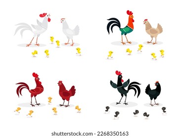 Colorful cartoon chicken families set. Black, brown, red and white chickens. Vector illustration isolated on white background. For web, mobile app, print, banner, poster, greeting card and more 