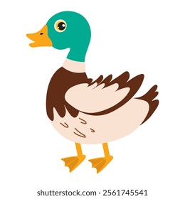 Colorful cartoon duck with vibrant feathers stands on a white background