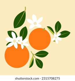Colorful cartoon fruit icon. Orange. Summer fresh fruit vector illustration