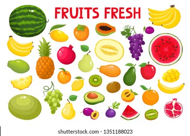 Colorful cartoon fruit icons isolated on white. Vector illustration of fresh organic fruit used for magazine, book, poster, card, menu cover, web pages.