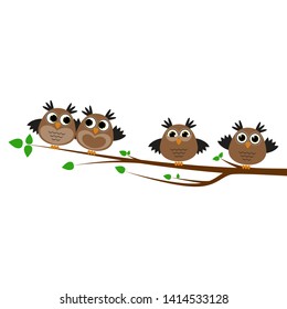 Colorful cartoon funny owls set on white background